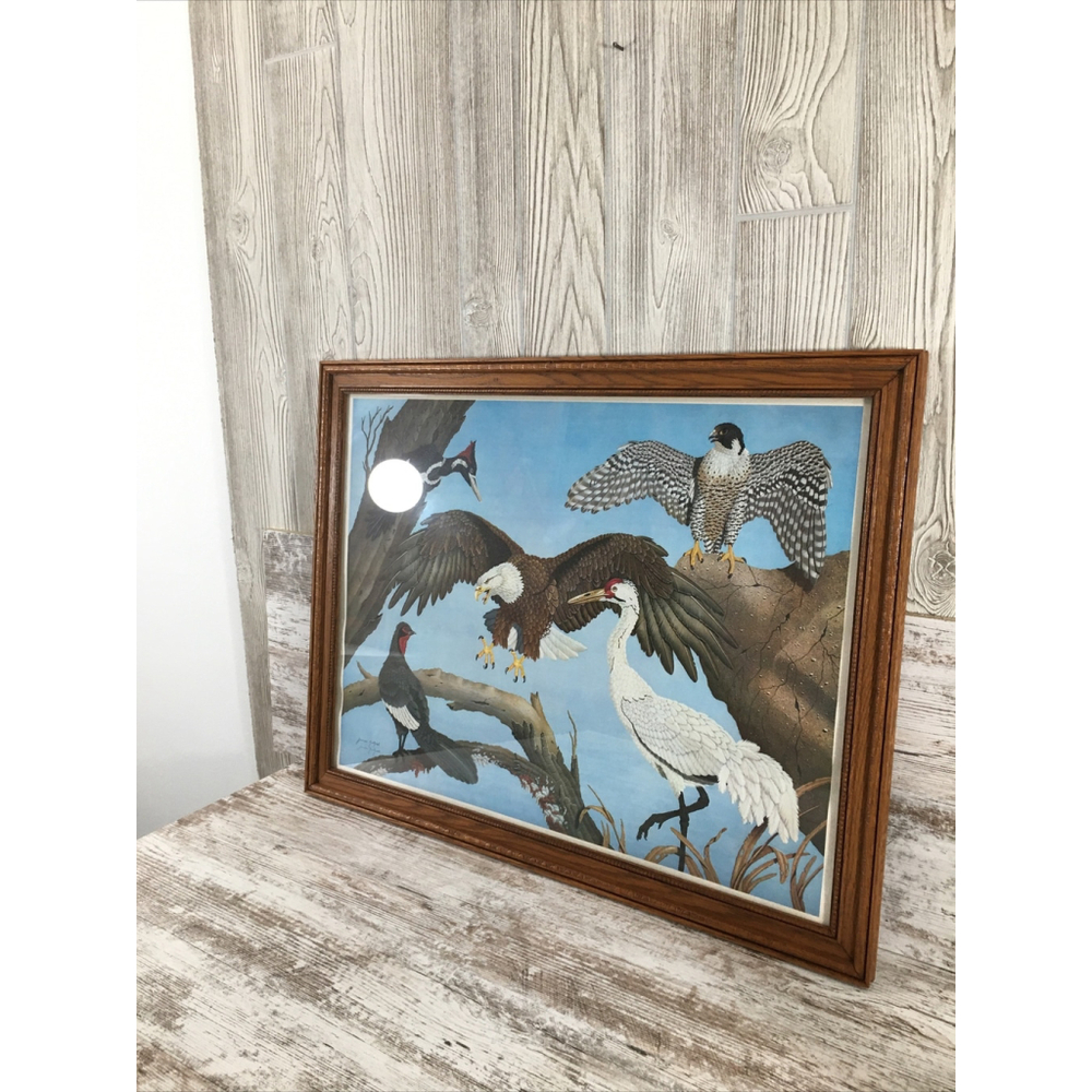 James Kukrul Wildlife Print Signed & Framed Eagle Crane Woodpecker 22x27 - Picture 6 of 16